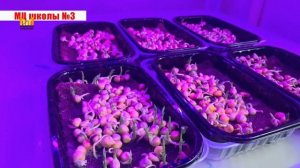 Движения Первых 11.02.2026