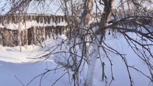 Нужно ли накидывать снег в теплицу