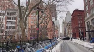 🗽 Зимняя прогулка по Нью-Йорку🗽Знаменитые Трайбека и Уолл-стрит в Нью -Йорке 😍🥟Февраль 2026