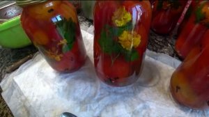 Впечатления от маринованных помидоров с бархатцами