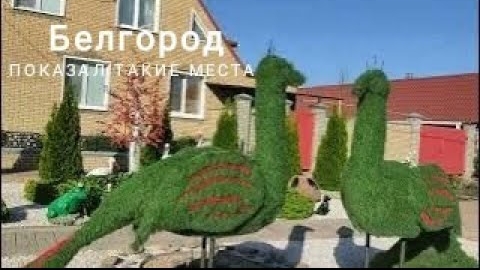 Белгород, белгородская область, село ближняя игуменка, прогулка.