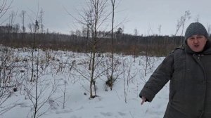 Хутор Замошье/ПЕРЕМИРИЕ ПО-СВИНСКИ. КАК НАШИ ХРЯКИ ОБЩИЙ ЯЗЫК ИСКАЛИ.