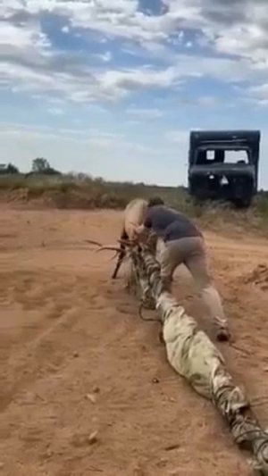 Красавец