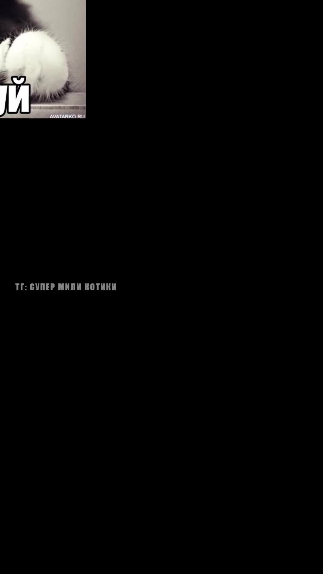 VID_20260130_031416.mp4 смотреть онлайн