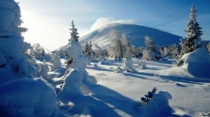 Трансляция богослужения Новоапостольской церкви, г.Уфа, 15.02.2026, 9:00 мск