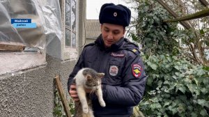 Сотрудники патрульно-постовой службы МВД России по КБР спасли из огня мужчину и его кошку