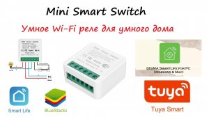 Умное Wi-Fi реле для умного дома Mini Smart Switch