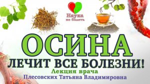 ОСИНА - СИЛЬНЕЙШЕЕ ПРИРОДНОЕ СРЕДСТВО в борьбе с ВОСПАЛЕНИЕМ!