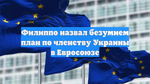Филиппо назвал безумием план по членству Украины в Евросоюзе