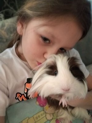 И снова пухля