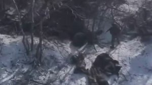 🔴Наш один воин берёт в плен стадо укронацистов🔴