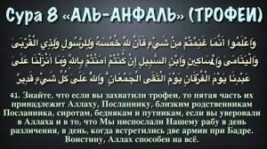 Сура 8. «Аль-Анфаль» (Трофеи). Чтец: Мухаммад Аль-Люхайдан.