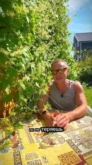 Возраст – это не приговор! #возраст #мотивация #мотивациянауспех #лето #дача смотреть онлайн