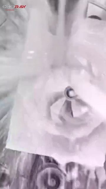 Обрабатывающий центр с ЧПУ 5-осевой #COORAY смотреть онлайн