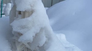 Поездка на дачу