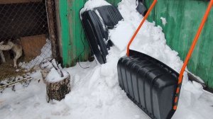 Спасаем рассаду.
Спасаем собаку.