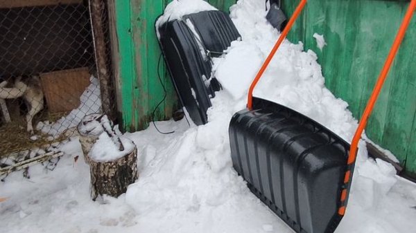 Спасаем рассаду.
Спасаем собаку.