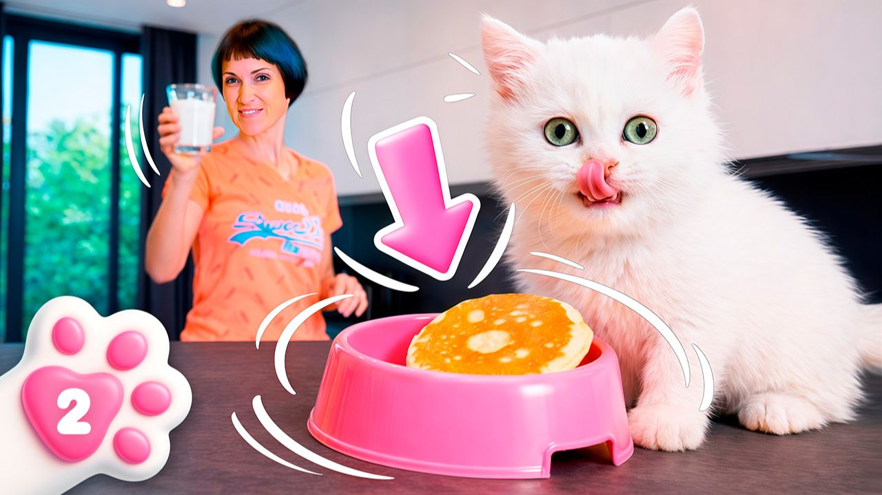 Утро с котенком Кефиром: весёлые шалости, купание и вкусные оладушки на завтрак! смотреть онлайн