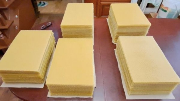 Вощина своими руками. Шаг 2. Прокатка и нарезка