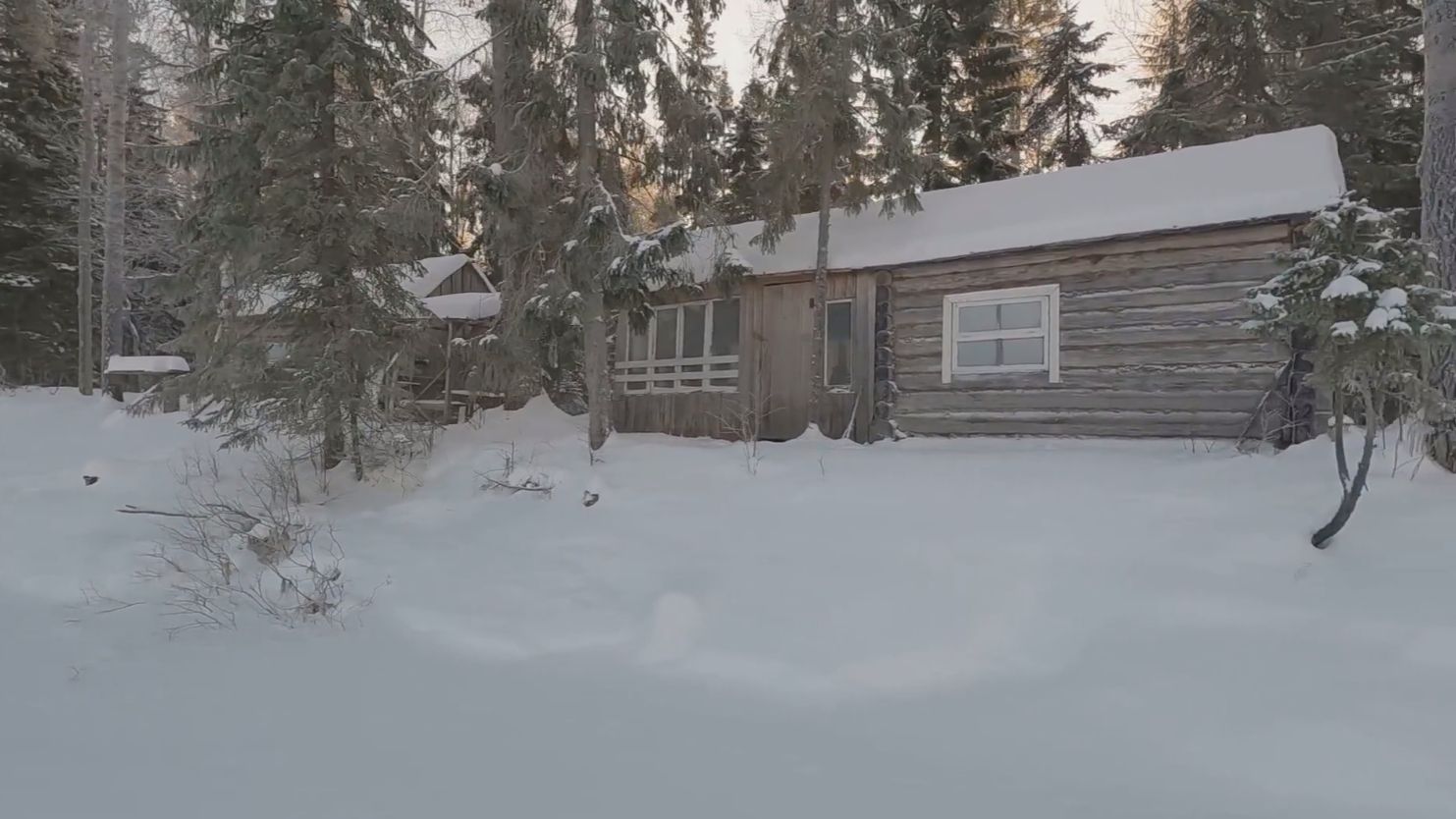 ИЗБА ЛЕСНИКА! ИНТЕРЕСНЫЕ НАХОДКИ В ТАЙГЕ. смотреть онлайн