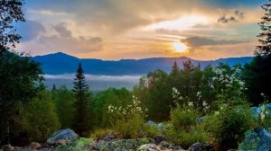 Родина Ольга Корнеева и ансамбль народной песни Лазоревый цвет г Челябинск сл муз А Леонинков