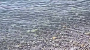 Пляж Сукко глазами Дмитрия Сорвенкова 11 Февраля 2026 года