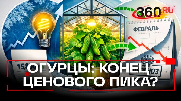 Когда подешевеют огурцы – в Госдуме знают точно