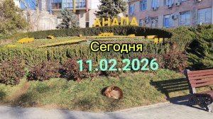 Анапа Сегодня 11.02.2026