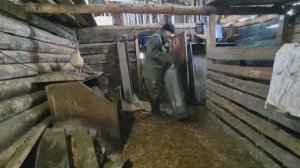 Надо кому то приказывать,а кому то исполнять/ наша жизнь в селе