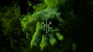 MRAK & Asal - Nobody (Extended Mix)