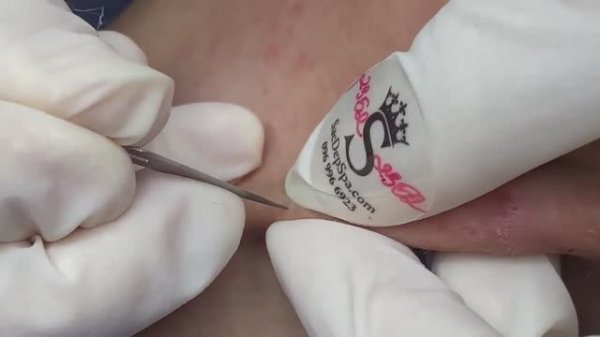 Relax Spa • 102 • АСМР • SacDepSpa collection