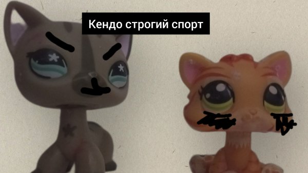 лпс сериал кендо строгий спорт серия 1