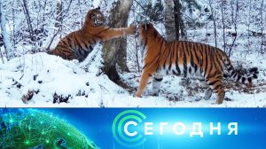 «Сегодня»: 11 февраля 2026 года. 13:00 | Выпуск новостей | Новости НТВ