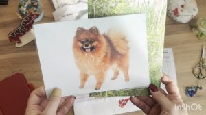 Вышивка крестиком. Китайский IMake готов, мои впечатления. Финиши, процессы января-февраля. Покупки.