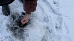 Ловля пресноводной трески в Якутии