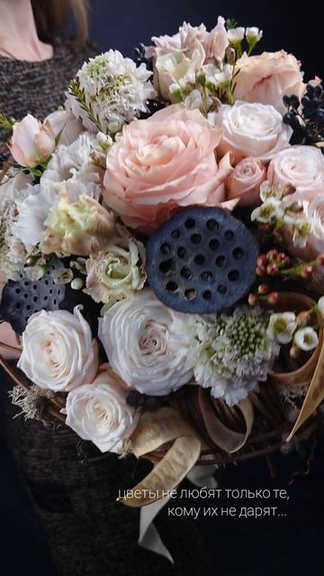 1000792024.mp4 смотреть онлайн