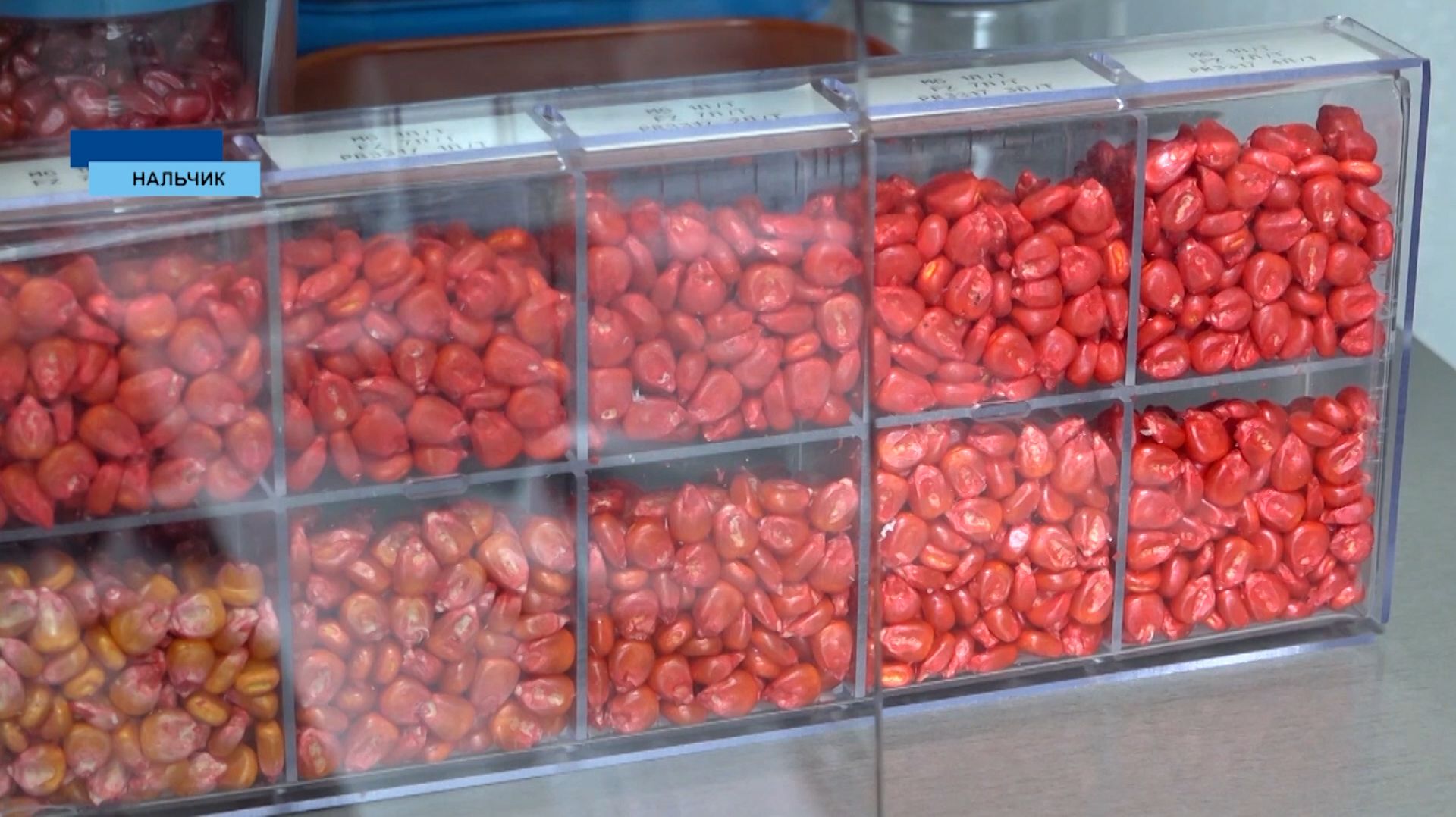 Не за горами и очередной посевной сезон. Аграрии к этой поре готовятся загодя