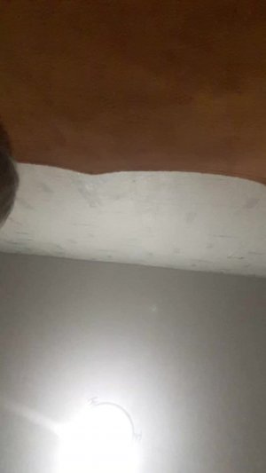 11 фактов об мне