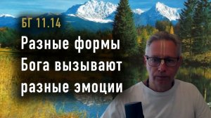 11.02.2026 - Разные формы Бога вызывают разные эмоции - Е.М. Враджендра Кумар прабху