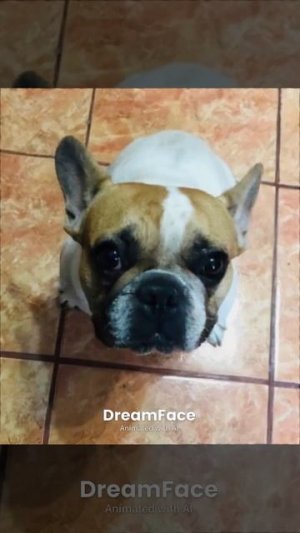 нейросеть Жаки ахахах