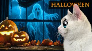 ПРАНКИ над КОТИКАМИ на ХЭЛЛОУИН! 3 СМЕШНЫХ РОЗЫГРЫША