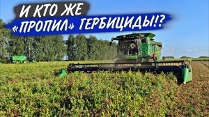 На 4 день уборки,  - 2 Камаза и JD S660. Сорняк в горохе - не косяк, а "технолоДЖия"!