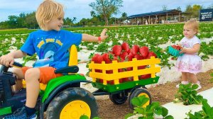 Крис и Алиса на ферме - Веселые истории для детей.