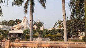 Пальмы у храма!