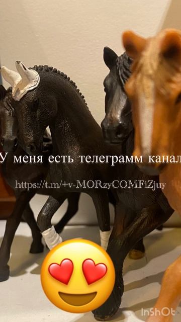 У меня есть телеграмм канал //лошади шляйх//https://t.m/+v-MORzyCOMFiZjUy🤩