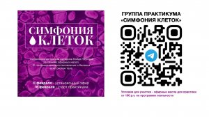 Вводный эфир по Симфонии Клеток