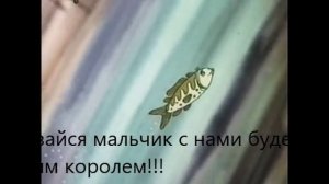 В синем море, в белой пене