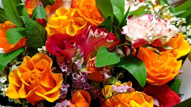 ОДА ЖЕНЩИНЕ смотреть онлайн