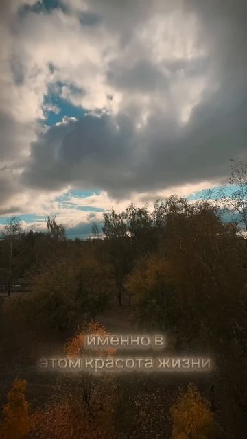 Осенний переход #мотивацияивдохновение #мотивациянадень #осень #motivation смотреть онлайн