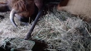 Разговоры о насущном